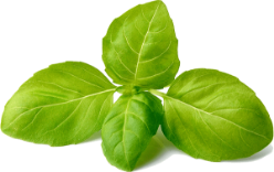 PILI PILI Pizza A Emporter Plouay 12 PILI PILI Pizza A Emporter Plouay 12