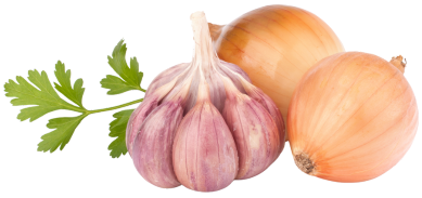 Les Sapins Verts Pizza A Emporter Plouay Ail Oigon Les Sapins Verts Pizza A Emporter Plouay Ail Oigon